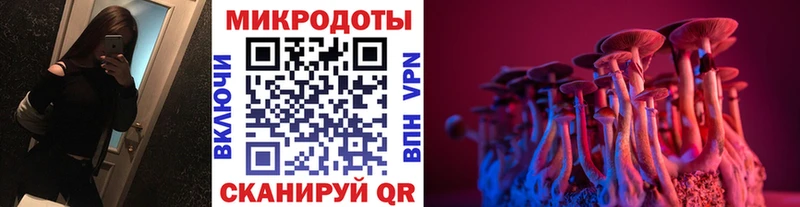 Купить закладки  Ртищево  Галлюциногенные грибы GOLDEN TEACHER 